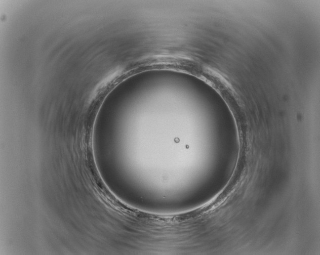 X0000061151403200511210949