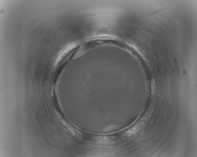 X0000061151405200511210949