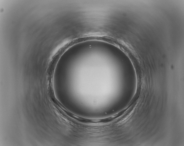 X0000061151406200511210949