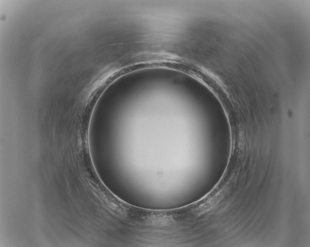 X0000061151407200511210949