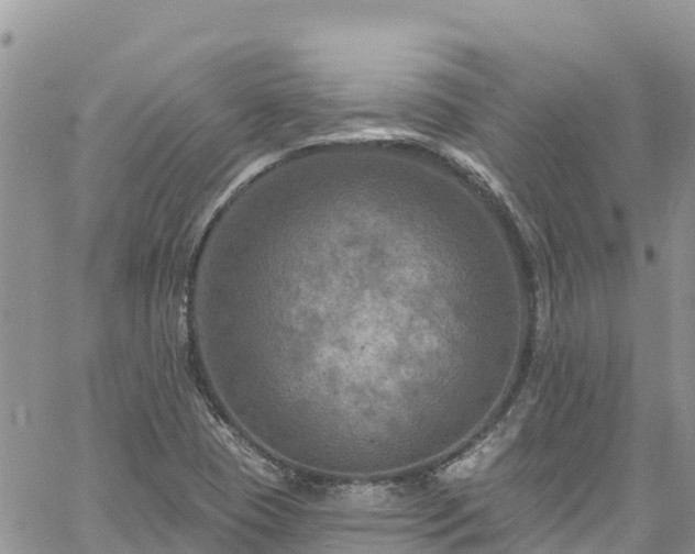 X0000061151409200511210950