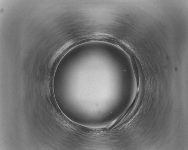 X0000061151410200511210950