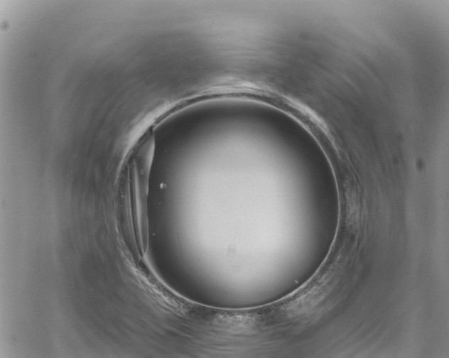 X0000061151415200511210950