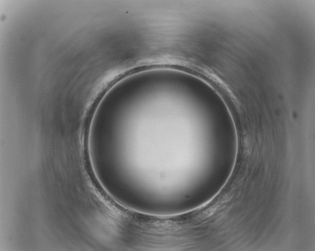 X0000061151416200511210950