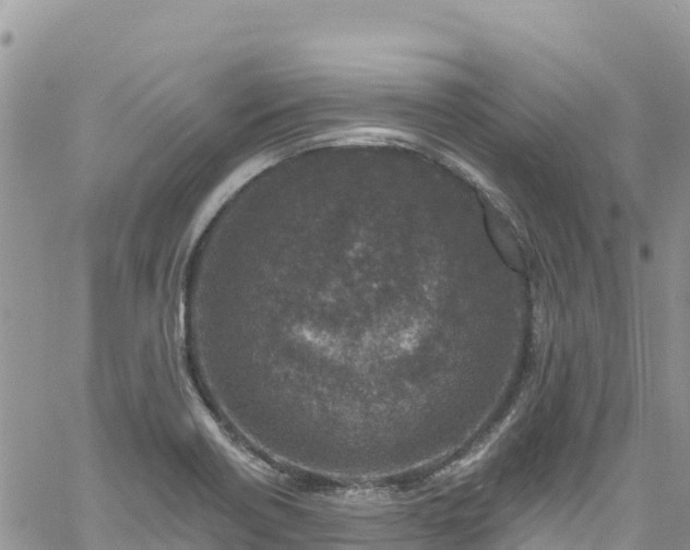 X0000061151418200511210950