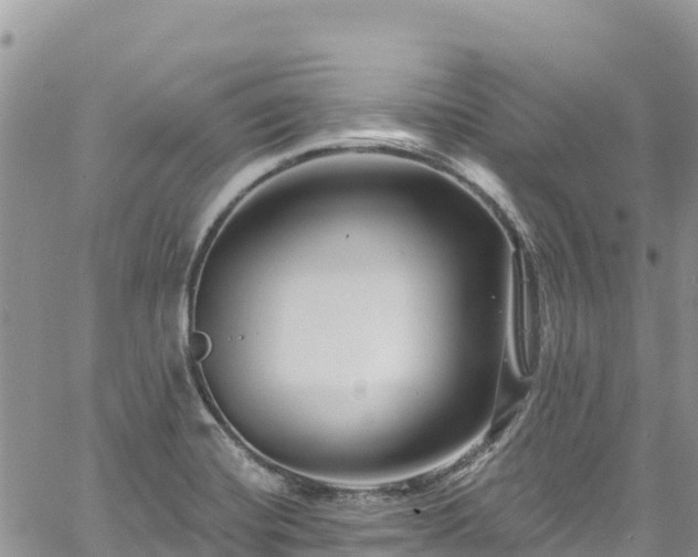 X0000061151420200511210950