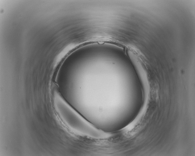 X0000061151422200511210950