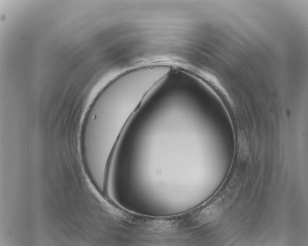 X0000061151424200511210950