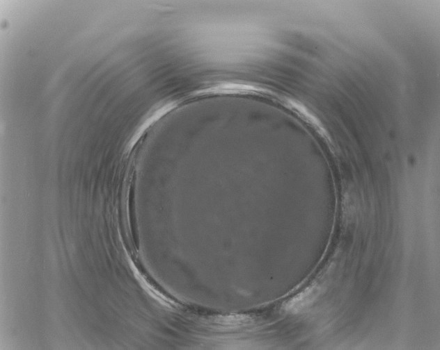 X0000061151425200511210950