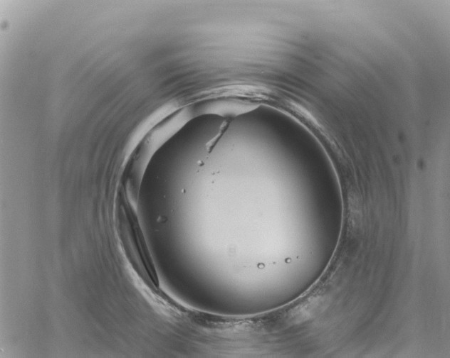 X0000061151426200511210950