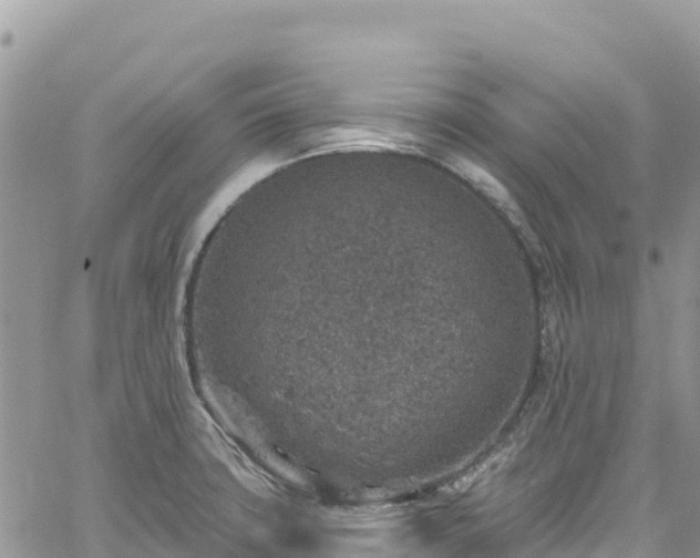 X0000061151427200511210950