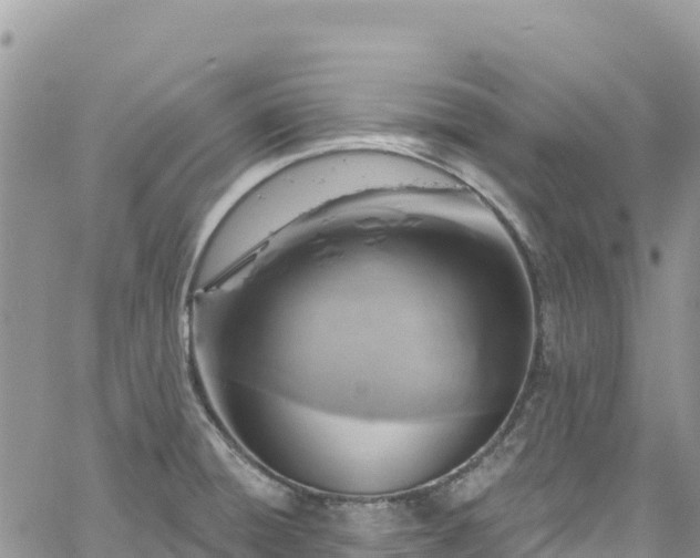 X0000061151428200511210950