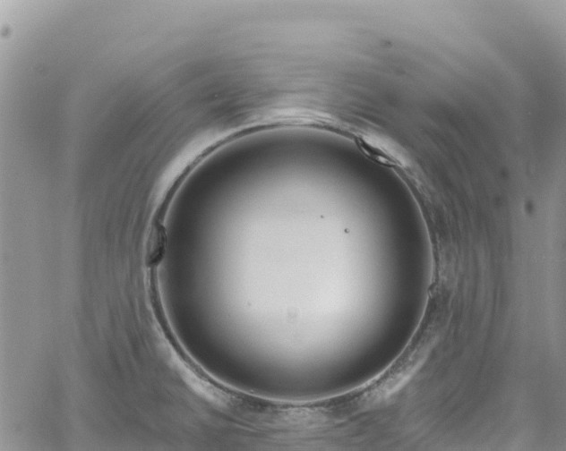 X0000061151430200511210950