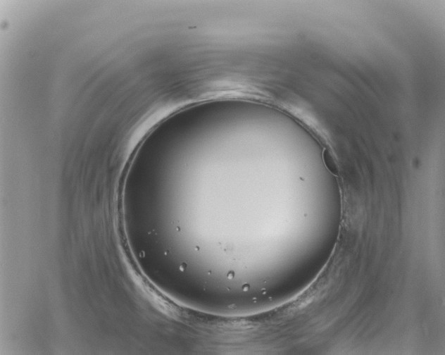 X0000061151431200511210950