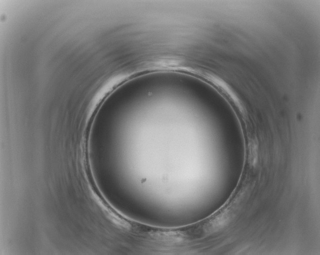 X0000061151432200511210950