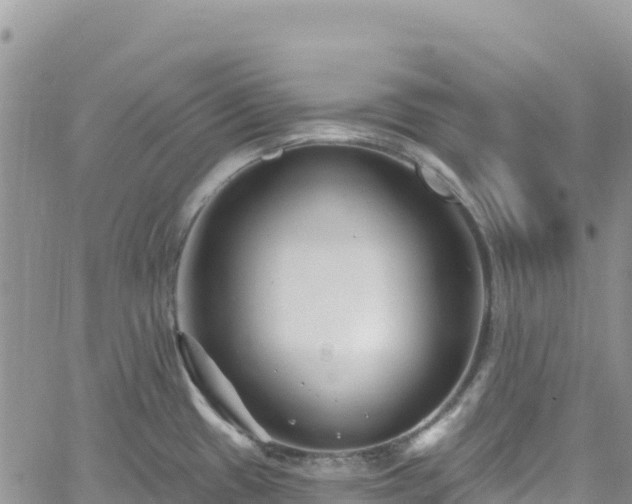 X0000061151433200511210950