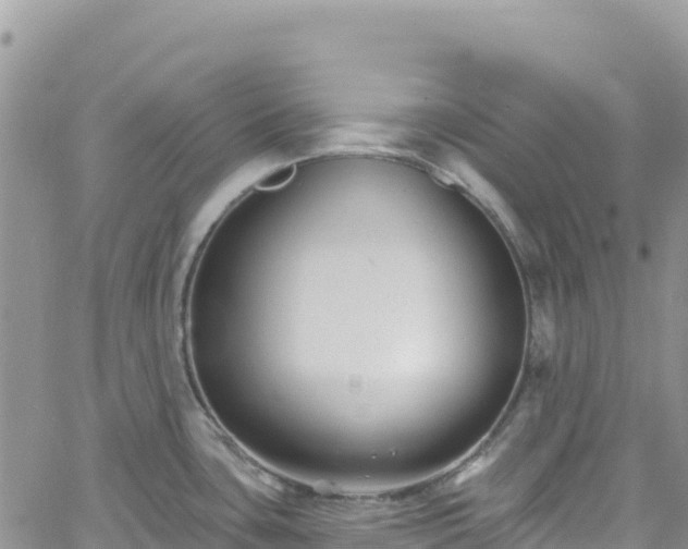 X0000061151435200511210950