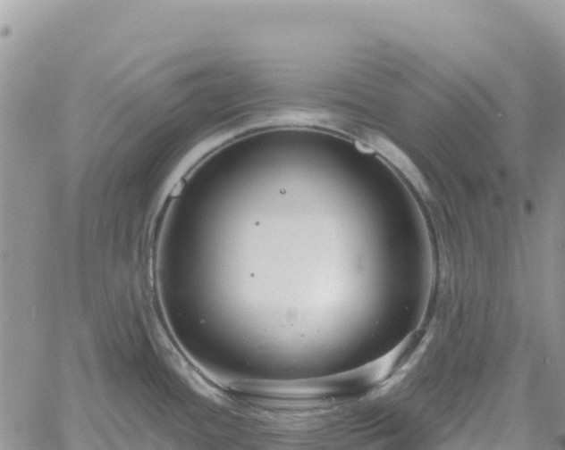 X0000061151436200511210950