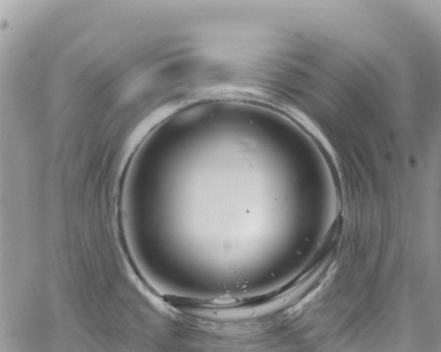 X0000061151437200511210950