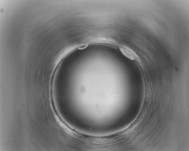 X0000061151439200511210950