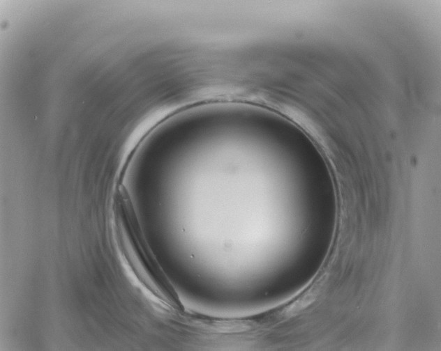 X0000061151440200511210950