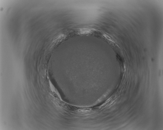 X0000061151441200511210949