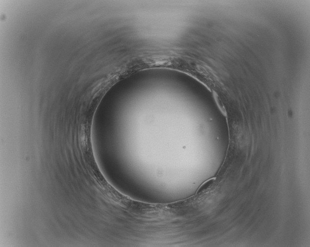 X0000061151442200511210949