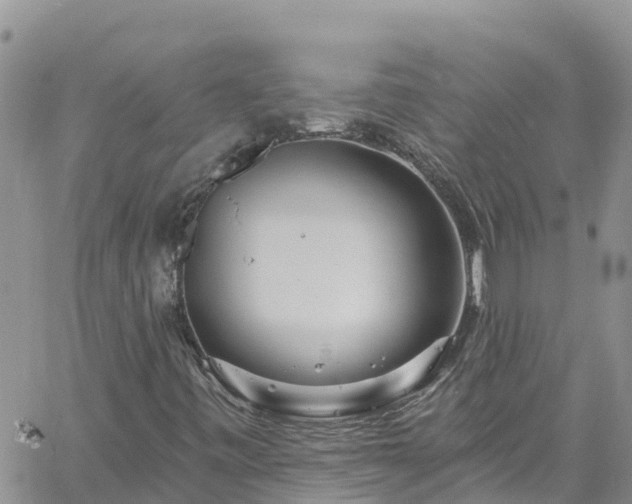 X0000061151443200511210949