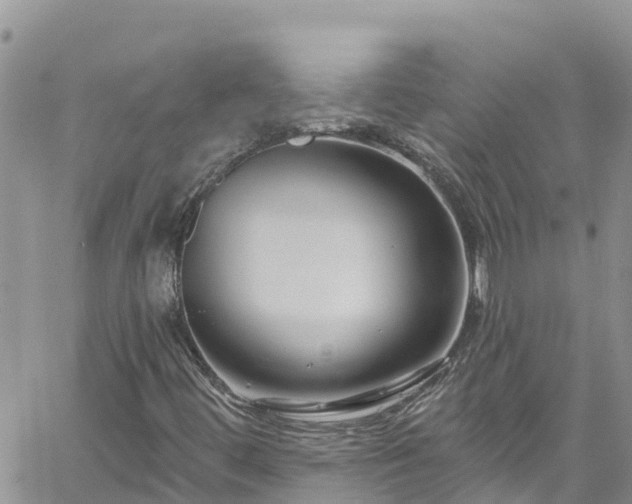 X0000061151444200511210949