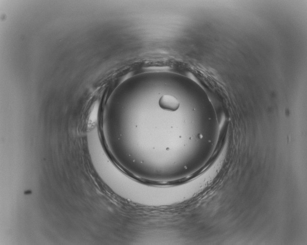 X0000061151445200511210949