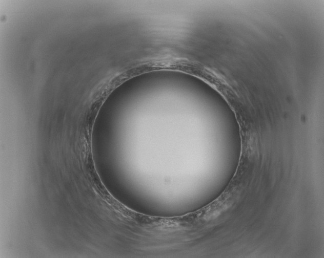 X0000061151446200511210949