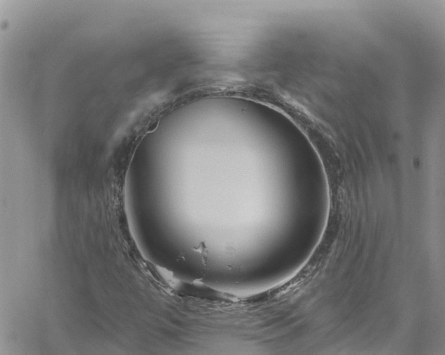 X0000061151447200511210949