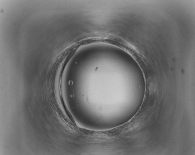 X0000061151448200511210949