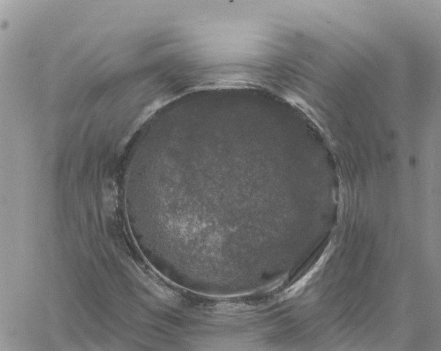 X0000061151449200511210949