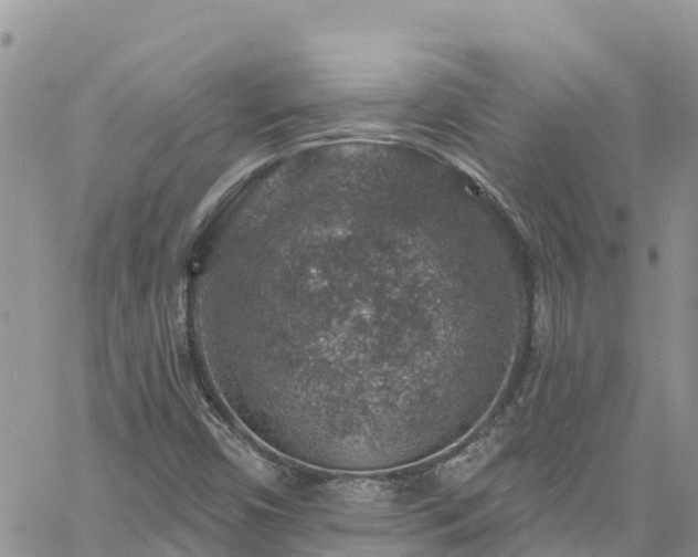 X0000061151450200511210949