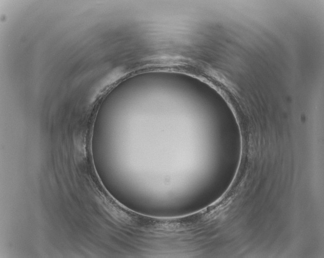 X0000061151451200511210949