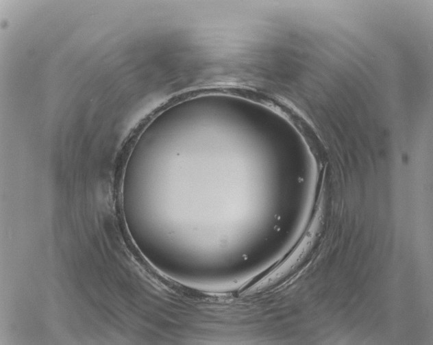 X0000061151452200511210949