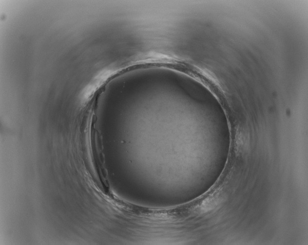 X0000061151455200511210949