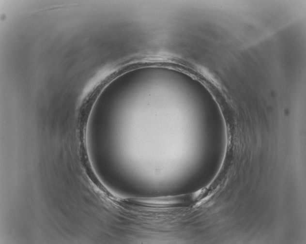 X0000061151456200511210949