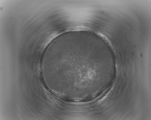 X0000061151457200511210949