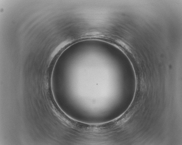 X0000061151458200511210949