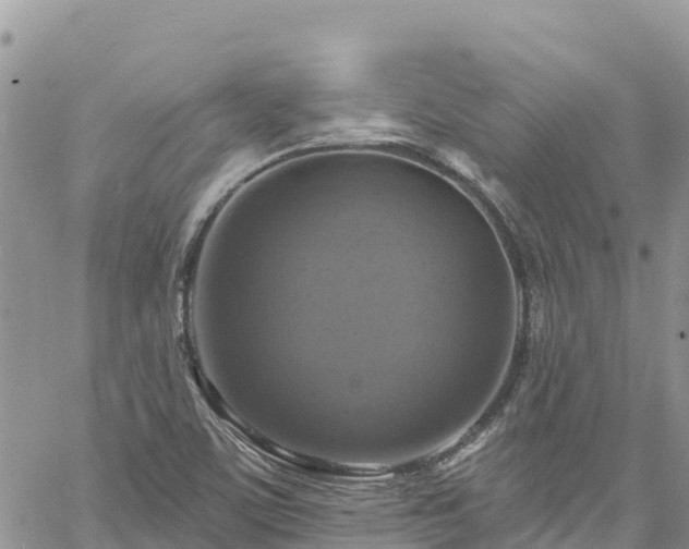 X0000061151459200511210949