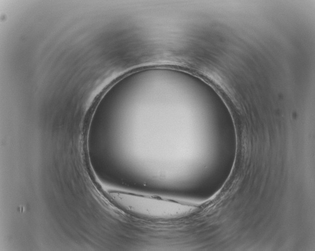 X0000061151460200511210949