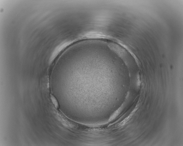 X0000061151461200511210949