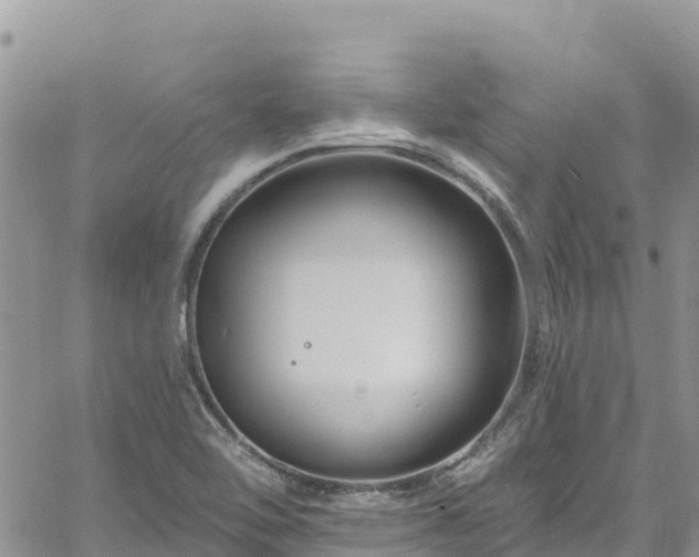 X0000061151462200511210949