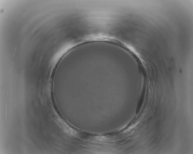 X0000061151463200511210949