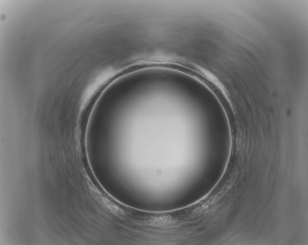 X0000061151464200511210949