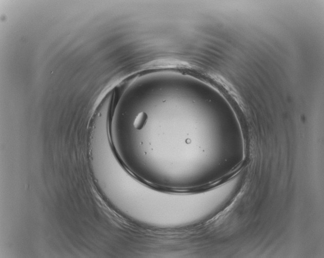 X0000061151465200511210949