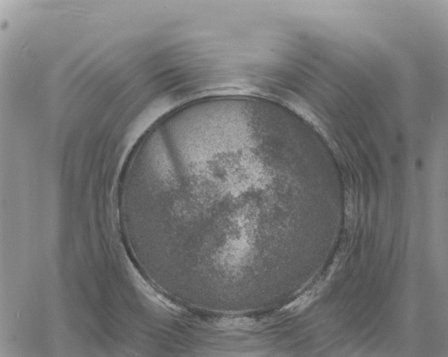 X0000061151466200511210949