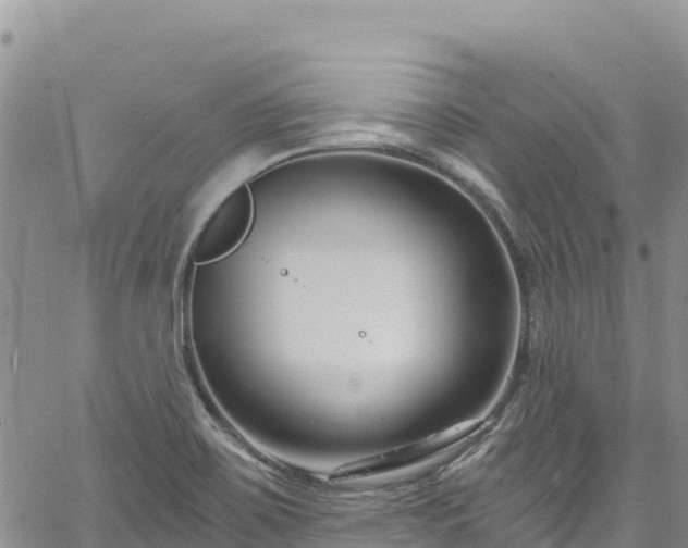 X0000061151467200511210949